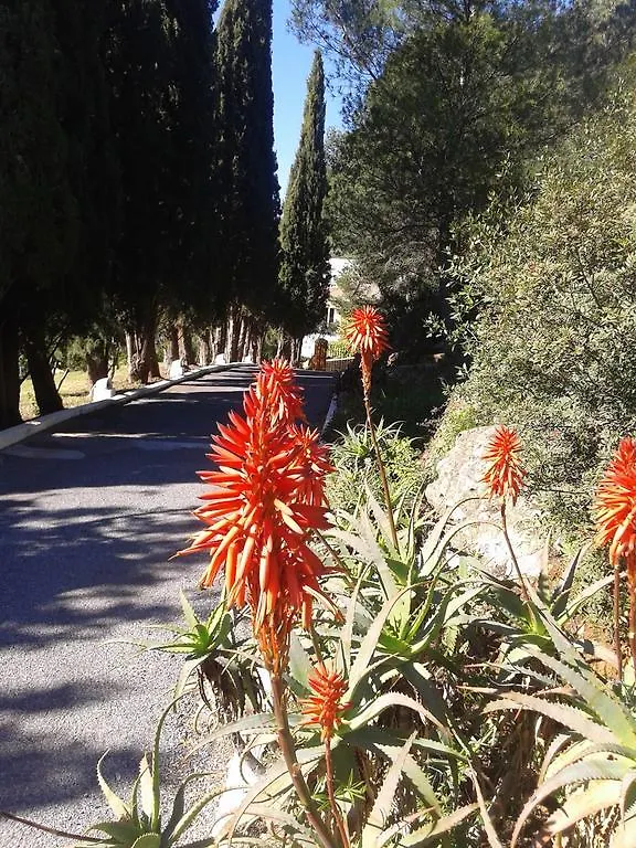 Los Angelitos Hotel Marbella Villa